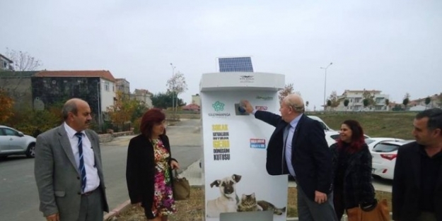 Hem Geri Dönüşüm Sağlıyor Hem De Sokak Hayvanlarını Doyuruyor