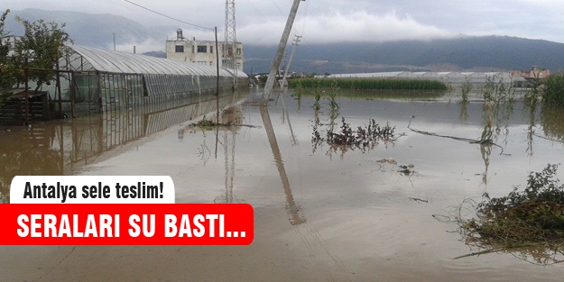 Şiddetli yağış seraları vurdu