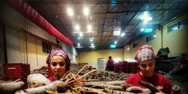 Şifa Niyetine Şalgam