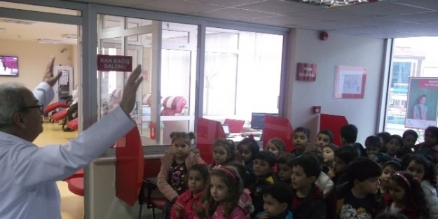 Minikler, Kan Bağışının Önemini Kavradı