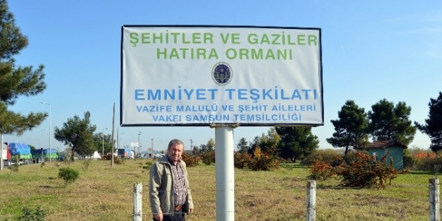 Şehitler Ve Gaziler Hatıra Ormanı’na Bakım