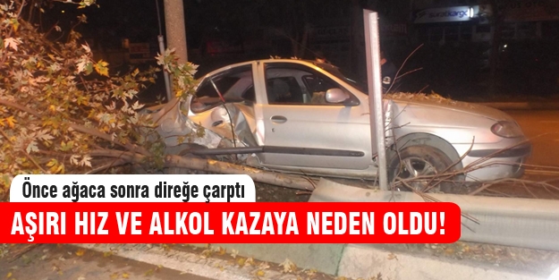 Hem alkol hem hız kazaya neden oldu