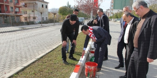 Kavak Kırmızı-beyaz Oluyor