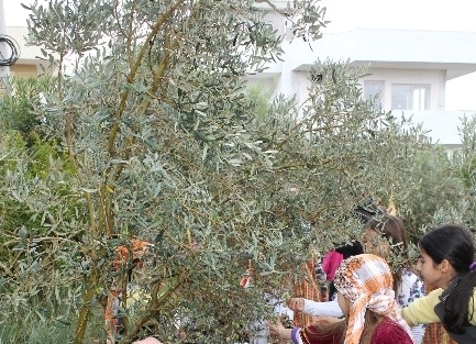 Urlalı Öğrencilerin Hasat Şenliği