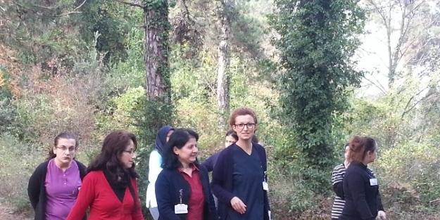 Alaplı’da Sağlık Çalişanlari Diyabete Farkındalık İçin Yürüdü