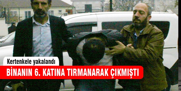 Kertenkele yakalanadı