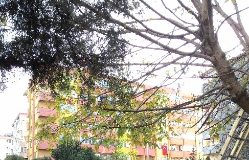 Park Bahçe Çalişanlari Uygulayarak Öğreniyor