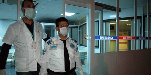 Muğla'da ebola alarmı!