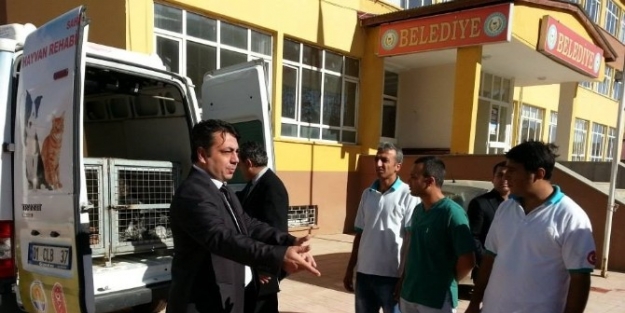 Tufanbeyli’deki Sokak Hayvanları İçin Rehabilitasyon Çalişmasi