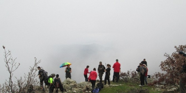 Sonbaharda Kazdağları’na Doğasever Akını