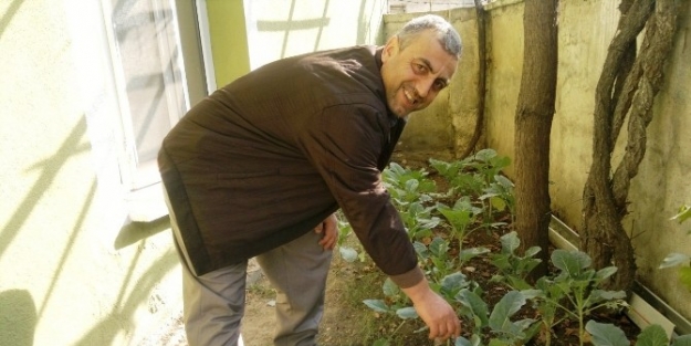 Karadenizli Müezzinin Kara Lahana Tutkusu