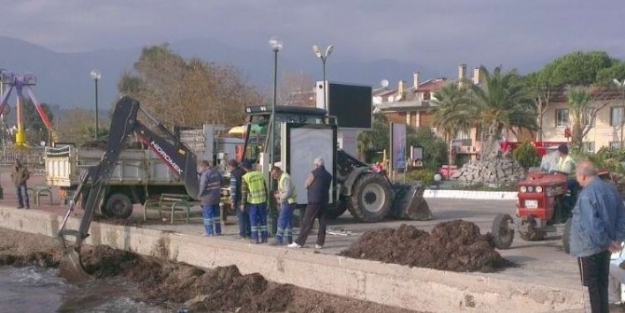 Edremit’te Sahilden Her Şey Çikiyor