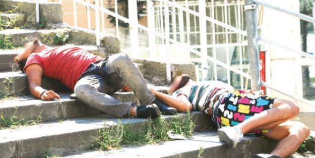 Eskişehir'de toplu Bonzai faciası!