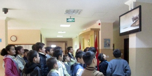 Yığılca’da Edep Başladı