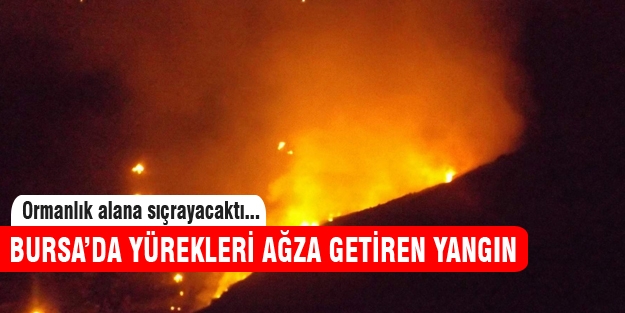 Bursa'da korkutan yangın!