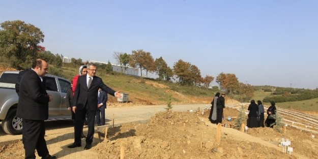 Başkan Köşker Pelitli Mezarlığında İncelemelerde Bulundu