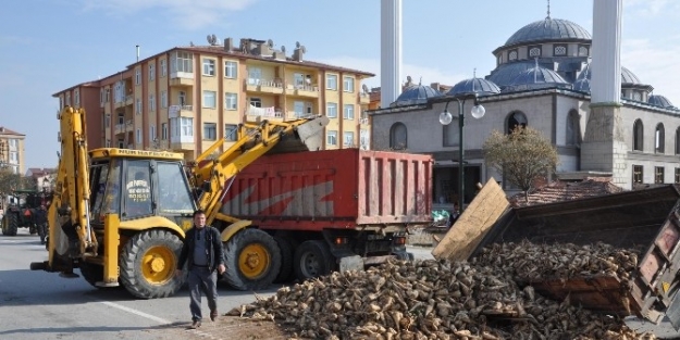 Sorgun’da Pancar Yüklü Römork Devrildi