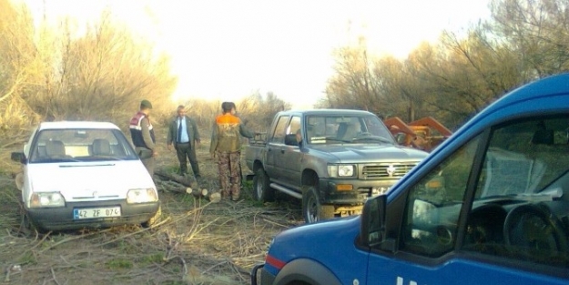 Milli Parkta Ağaç Keserken Yakalandı