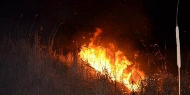 Beyşehir Gölü Milli Parkında Sazlık Yangını