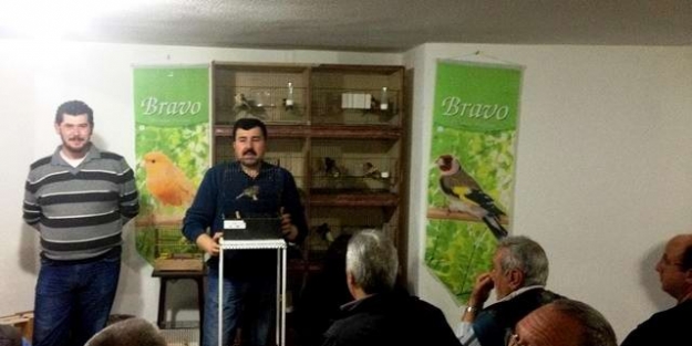 Edremit’te Kanarya Mezadı