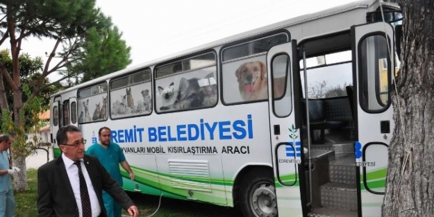 Edremit’te Sokak Hayvanları Kısırlaştırılıyor