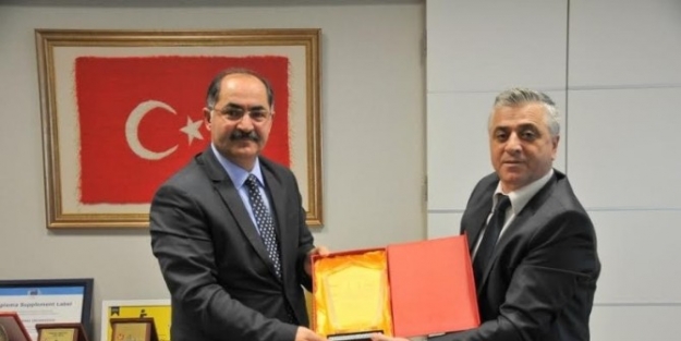 Namık Kemal Üniversitesi Ve Alexandra Motsin Üniversitesi Arasında İşbirliği