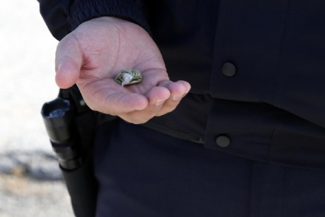 Polise ruhsat yerine uyuşturucu verince...