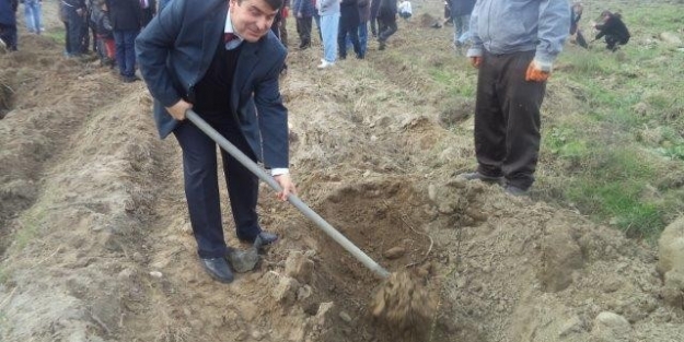 Özdilek'ten örnek davranış