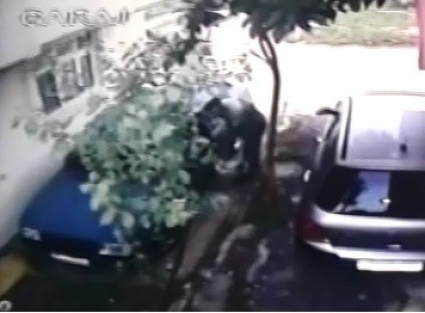 At arabalı oto fareleri yakalandı