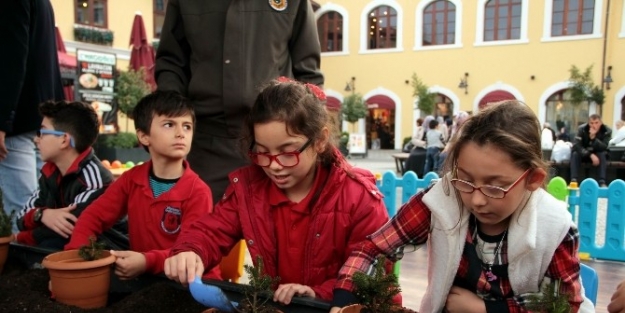 "bir Fidan Sizden Bir Orman Bizden" Etkinliği