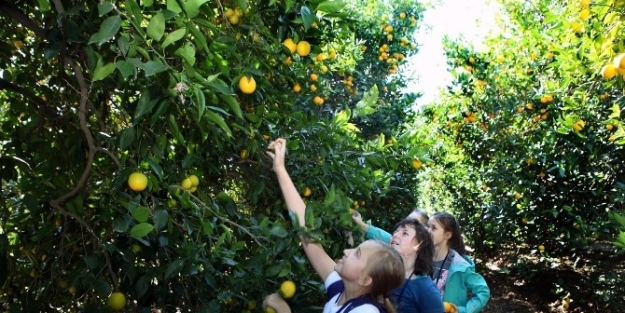 Çukurova Üniversitesi’nde Yabancı Konukları Ağırladılar