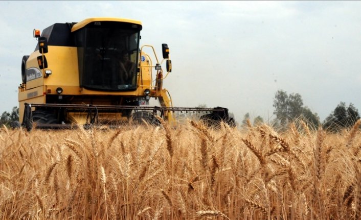 Tarım ve Orman Bakanlığı, bitkisel üretimde 2022 tahminlerini açıklandı