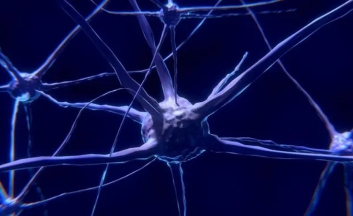 Beyinde zaman akışını kodlayan hücreler keşfedildi