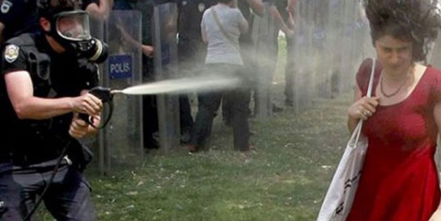 Kırmızılı Kadın meclise taşındı