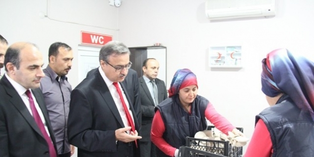 Vali Ali İhsan Su, Mantar Üretim Tesisinde İncelemelerde Bulundu