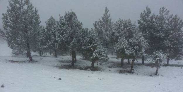 Derbent Aladağ’a Düşen Mevsimin İlk Karı Sevindirdi