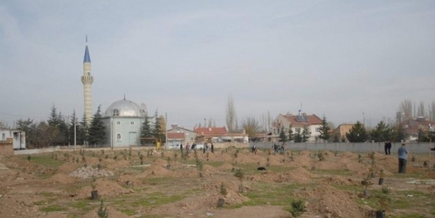 Bolvadin’de Ağaçlandırma Çalişmalari Devam Ediyor