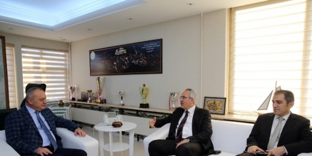 Manisa’da Yangına Dayanıklı Ağaçlar Dikiliyor