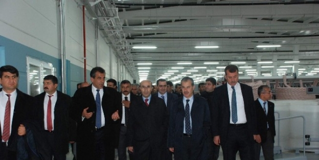 Adıyaman’da,  Fidanlar Toprakla Buluştu