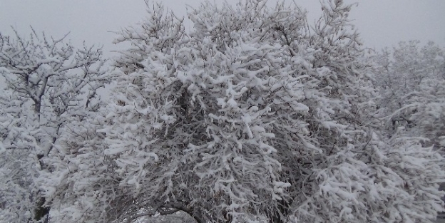 Yozgat’a Mevsimin İlk Karı Yağdı