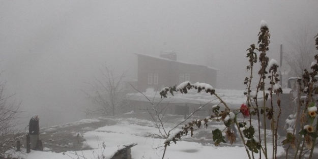 Hakkari’de 7 Köy 14 Mezra Yolu Ulaşıma Kapandı