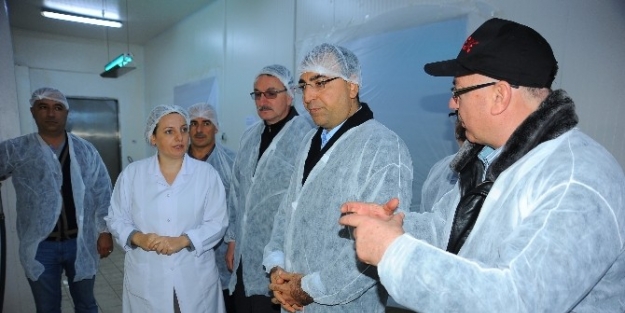 Vali Mustafa Toprak İşletmeleri Yerinde İnceledi