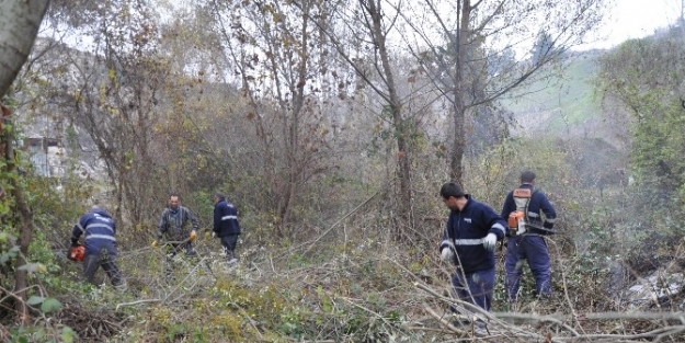 Başkan Vergili’nin Çilgin Projesi Başlıyor