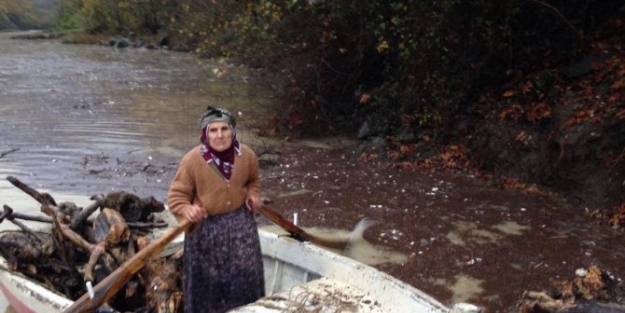 Vatandaşlar Teknelerle Balık Yerine Odun Topluyor