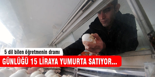 5 dil bilen öğretmenin dramı!