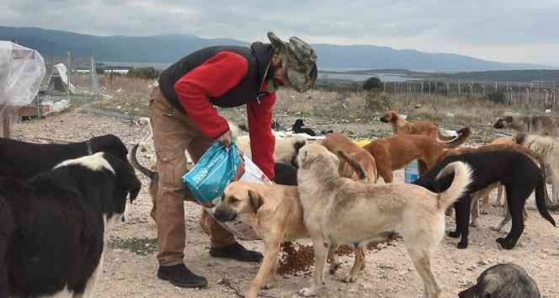 Bursa'da 16 gönüllü, kurdukları barınakta 300 sokak hayvanına bakıyor