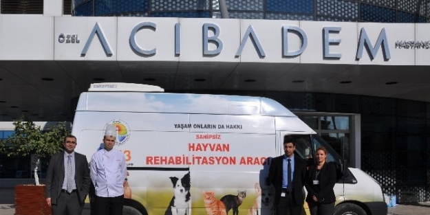 Acıbadem Sokak Hayvanlarına Sahip Çikiyor