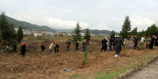 Bursa Ak Parti Kadın Kolları üyelerinden öğretmenlere jest