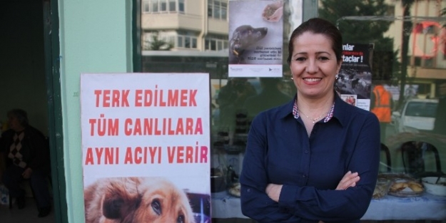 Gönülden Hayvan Sevenler Derneğinden Kermes