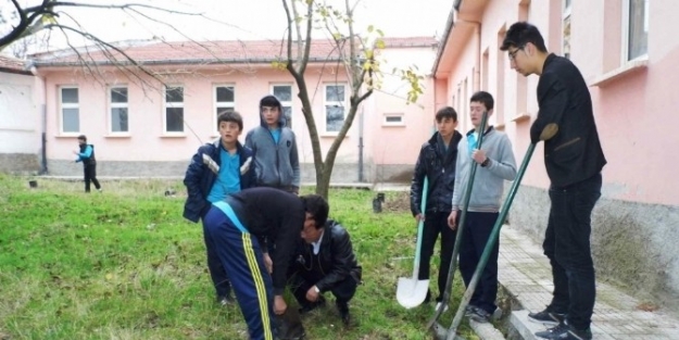 "benim De Bir Dikili Ağacım Var"